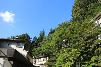 IMG_8207.JPG