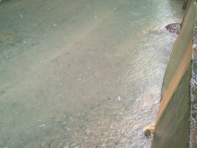 DSCF0075.JPG