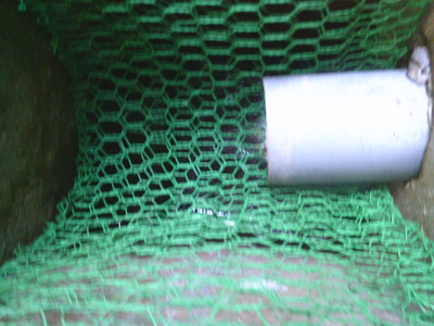 DSCF0109.JPG