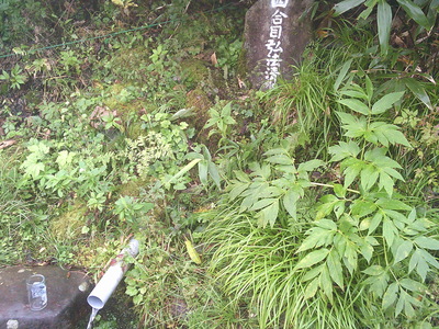 DSCF0247.JPG