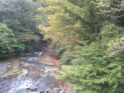 DSCF0295.JPG