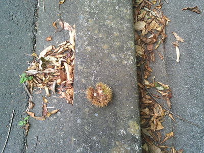 DSCF0298.JPG