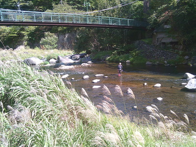 DSCF0337.JPG
