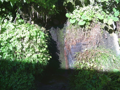 DSCF0392.JPG
