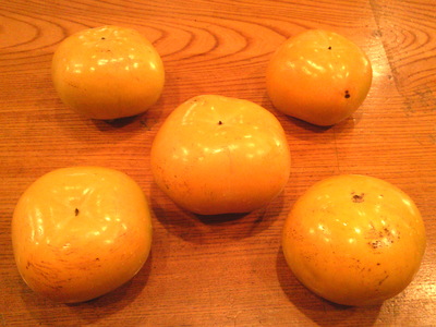 DSCF0401.JPG