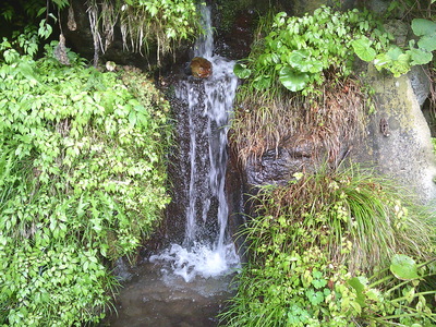 DSCF0406.JPG