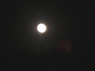 DSCF0408.JPG