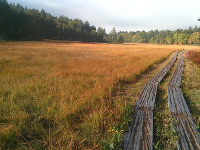 DSCF0415.JPG