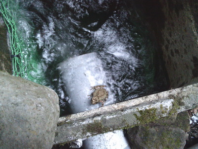 DSCF0449.JPG