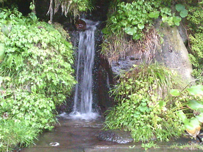 DSCF0451.JPG