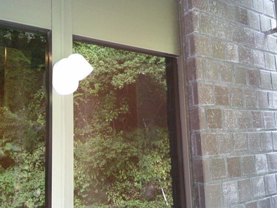 DSCF0498.JPG