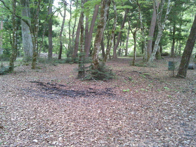 DSCF0500.JPG