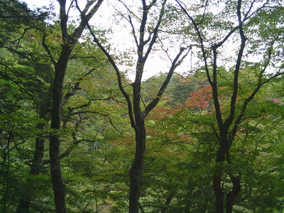 DSCF0502.JPG