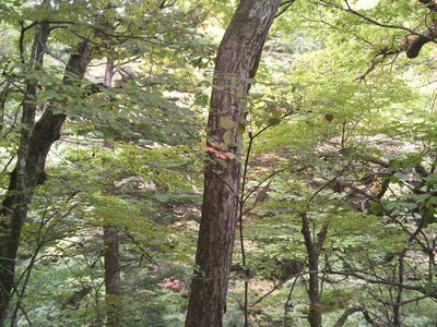 DSCF0505.JPG