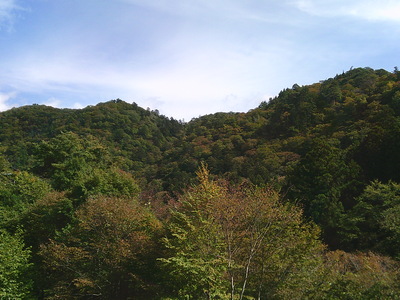 DSCF0523.JPG