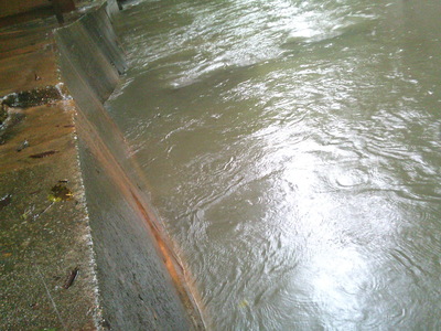 DSCF0320.JPG