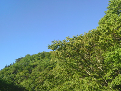 DSCF0184.JPG