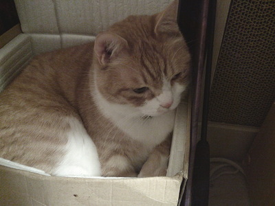 DSCF0286.JPG