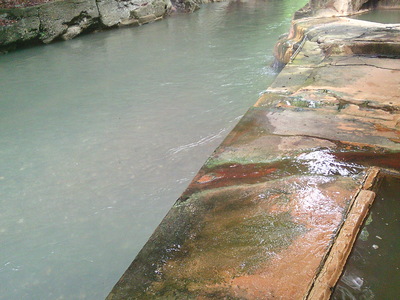 DSCF0346.JPG