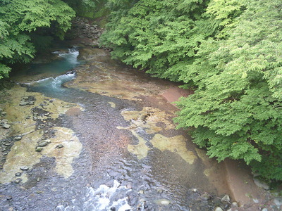 DSCF0573.JPG