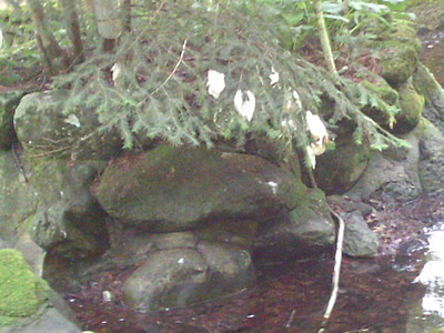 DSCF0667.JPG