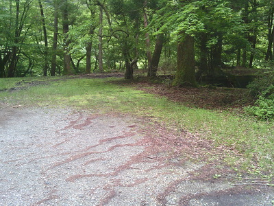 DSCF0721.JPG