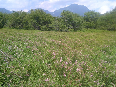 DSCF0766.JPG