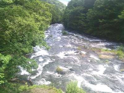 DSCF0771.JPG