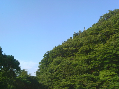 DSCF0804.JPG