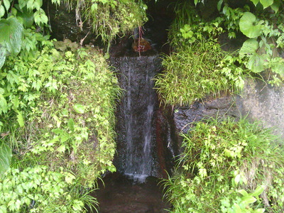DSCF0912.JPG