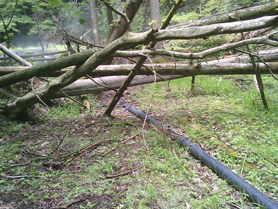DSCF0122.JPG