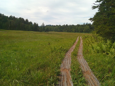 DSCF0137.JPG