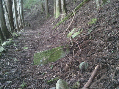 DSCF0988.JPG