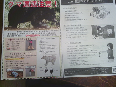DSCF0203.JPG