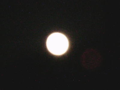 DSCF0345.JPG